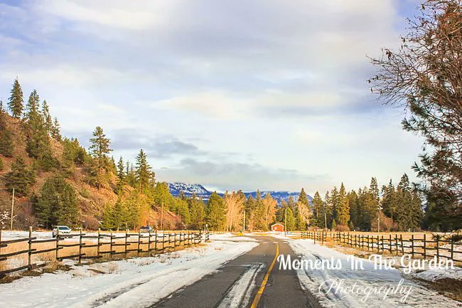MomentsintheG's tweet photo. Lovely to see a little blue sky today and a break from the rain. #fintryprovincialpark #bcparks #okanaganlife #okanaganlifestyle #bluesky #mydailywalk #snowmelting #landscapephotography #momentsinthegardenphotography https://t.co/68Sn0VBemI