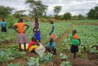 ayowecca_uganda's tweet photo. Poor farming methods leads low crop yields hence hunger crisis. Support us in #GR16 Agriculture https://t.co/5qq5bMIth4 #Gitcoin And Emerging Communities https://t.co/cEBYxtRnbt #GitcoinAlpha To find solutions to vulnerable Communities to save them from food insecurity. #Climate https://t.co/9mQxqR9a5V