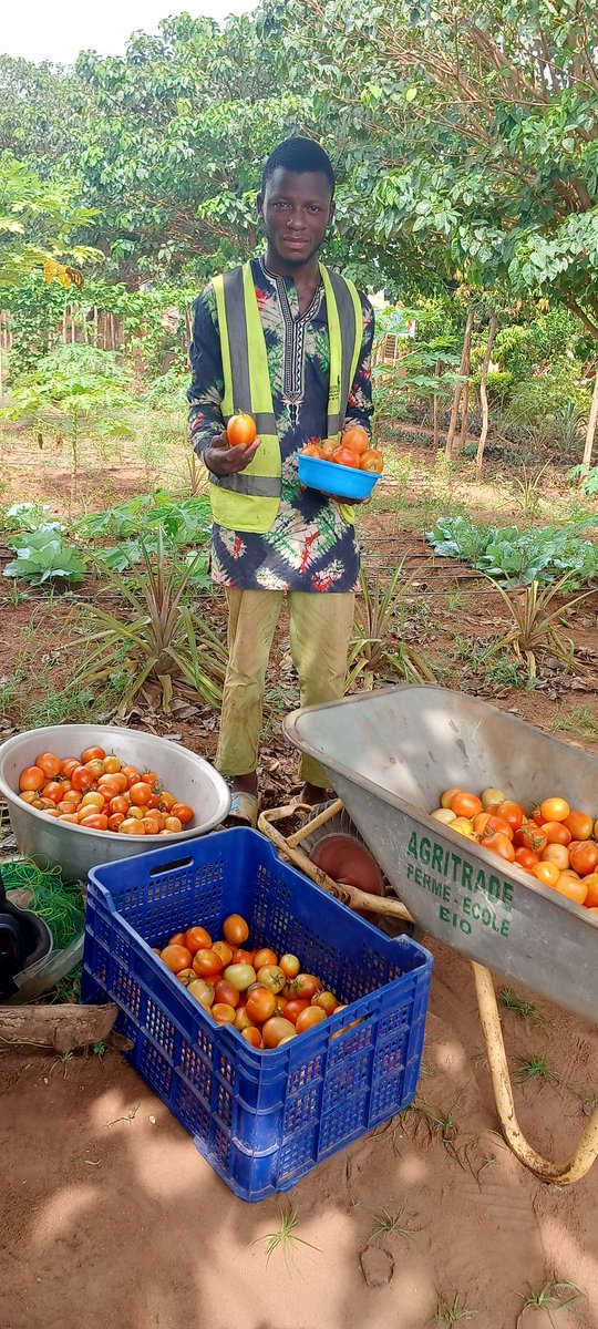 elhadjham's tweet photo. Formation gratuite de 100 jeunes togolais au métier de l'agriculture. Passez le message ! #TgTwittos . https://t.co/P3R2mU3wC2