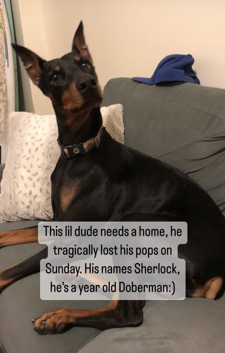 George in Frisco tweet media