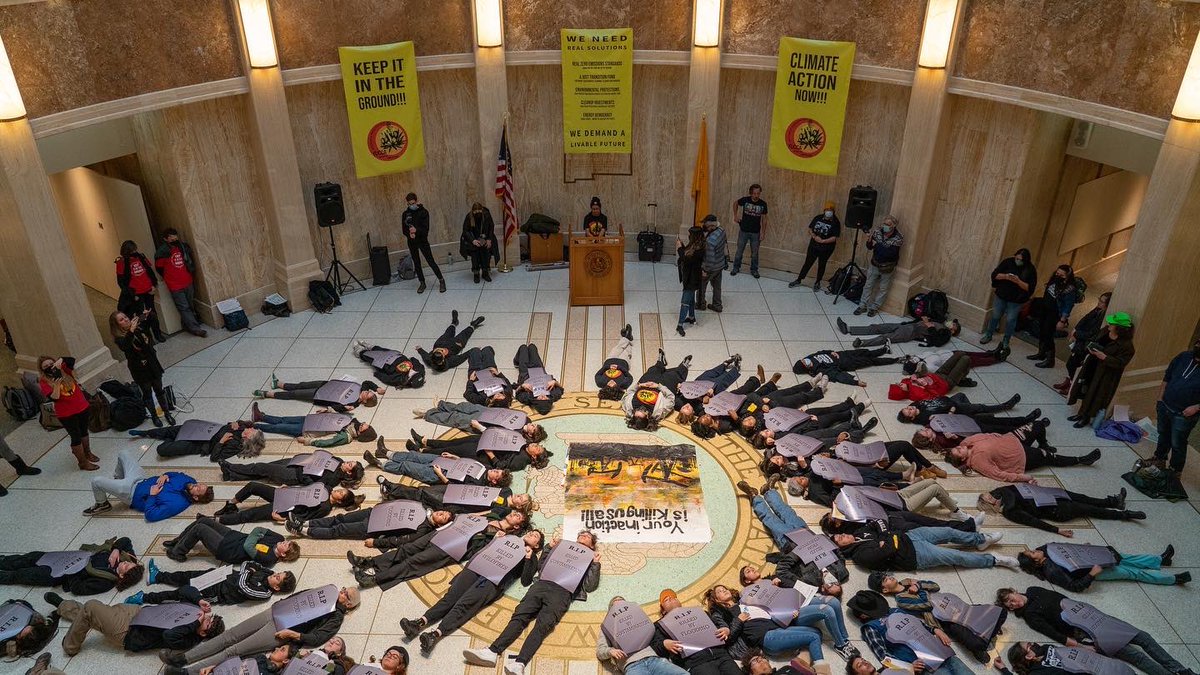 YUCCA Action tweet media