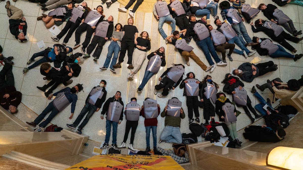 YUCCA Action tweet media