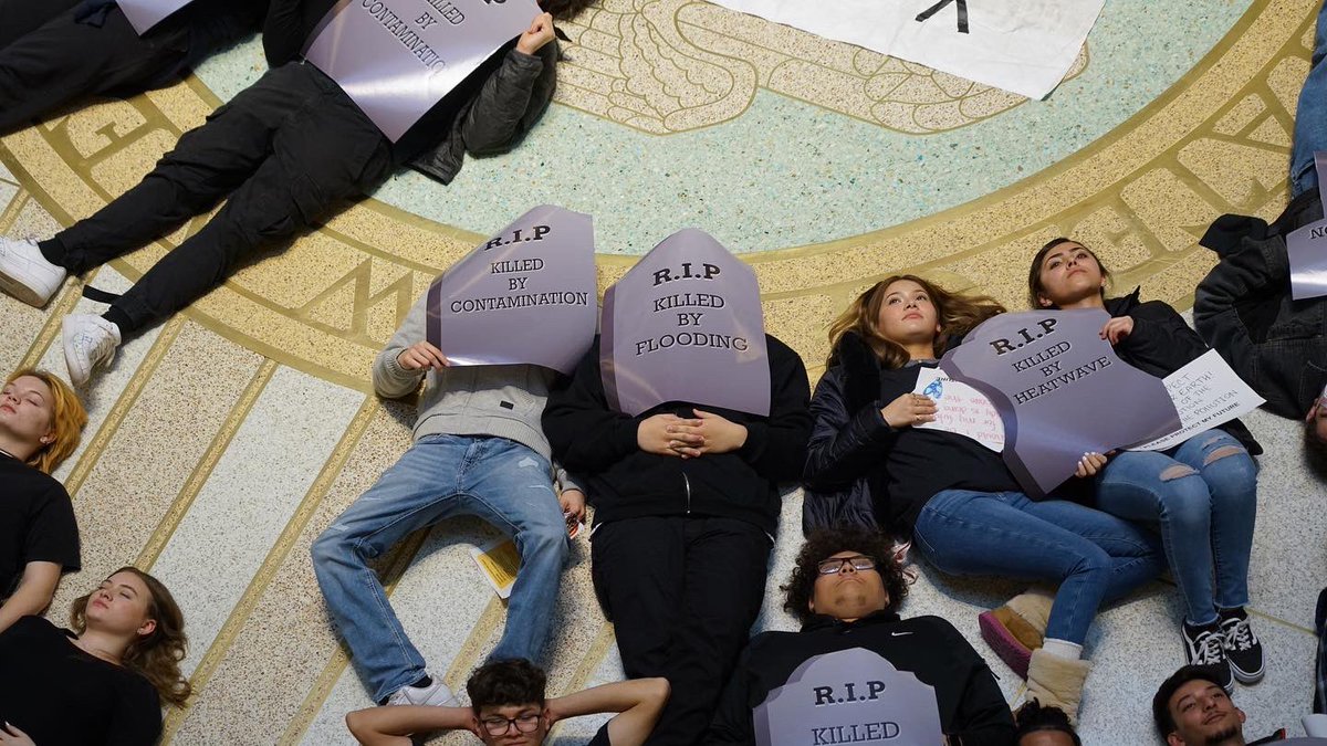 YUCCA Action tweet media