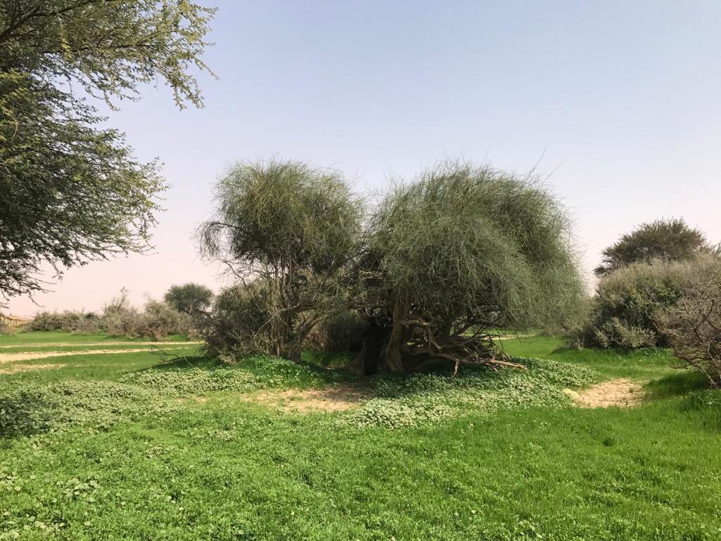 يوسف للتغطيات tweet media