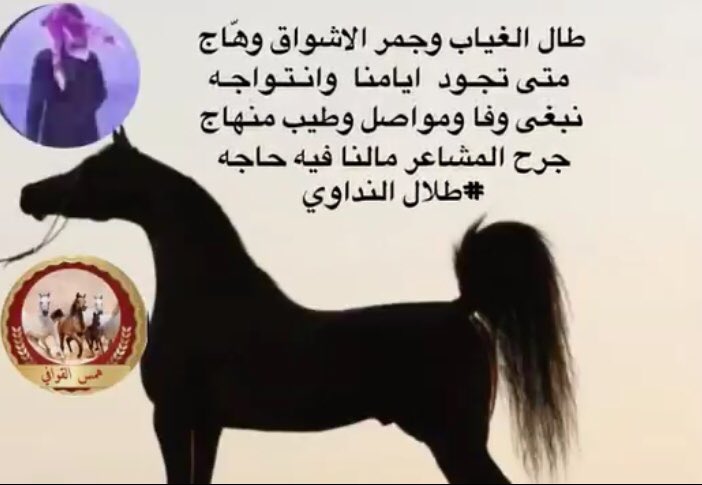 طلال ( النداوي ) (@ab12312347) on Twitter photo 