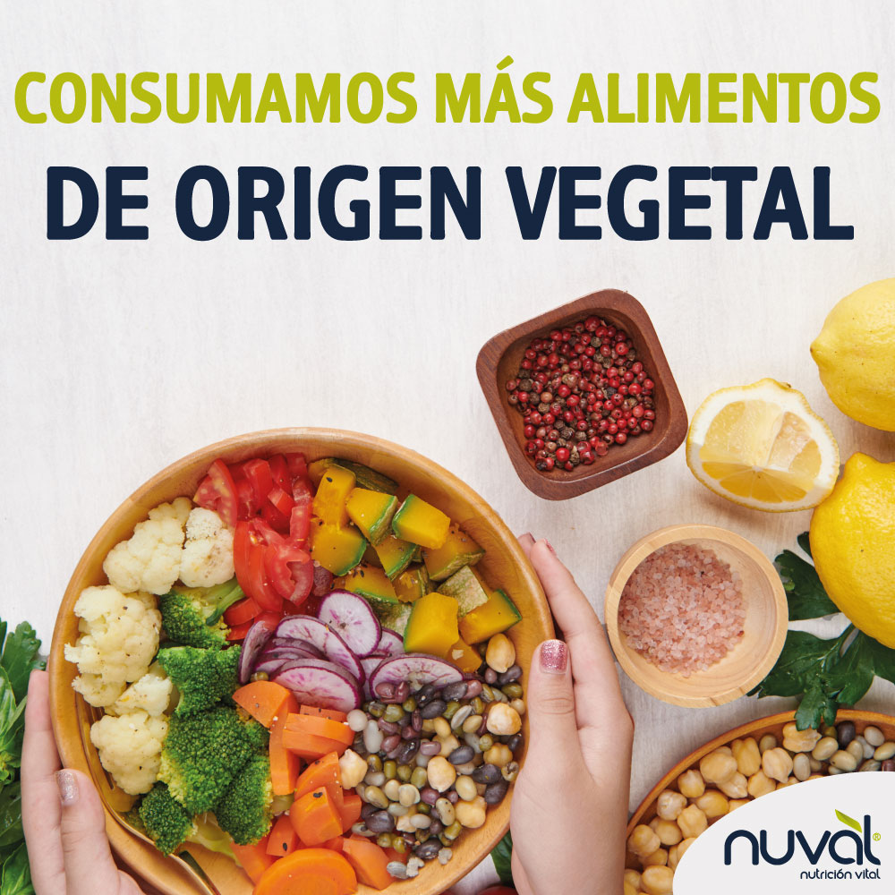 nuvalnutricion's tweet photo. En su mayoría, los alimentos de origen vegetal, son una gran fuente de vitaminas y minerales esenciales, fibra y antioxidantes.

#alimentos #vegetal #vegetales #alimentacion #beneficios #salud #nutricion #martes https://t.co/Iihj82v9X1