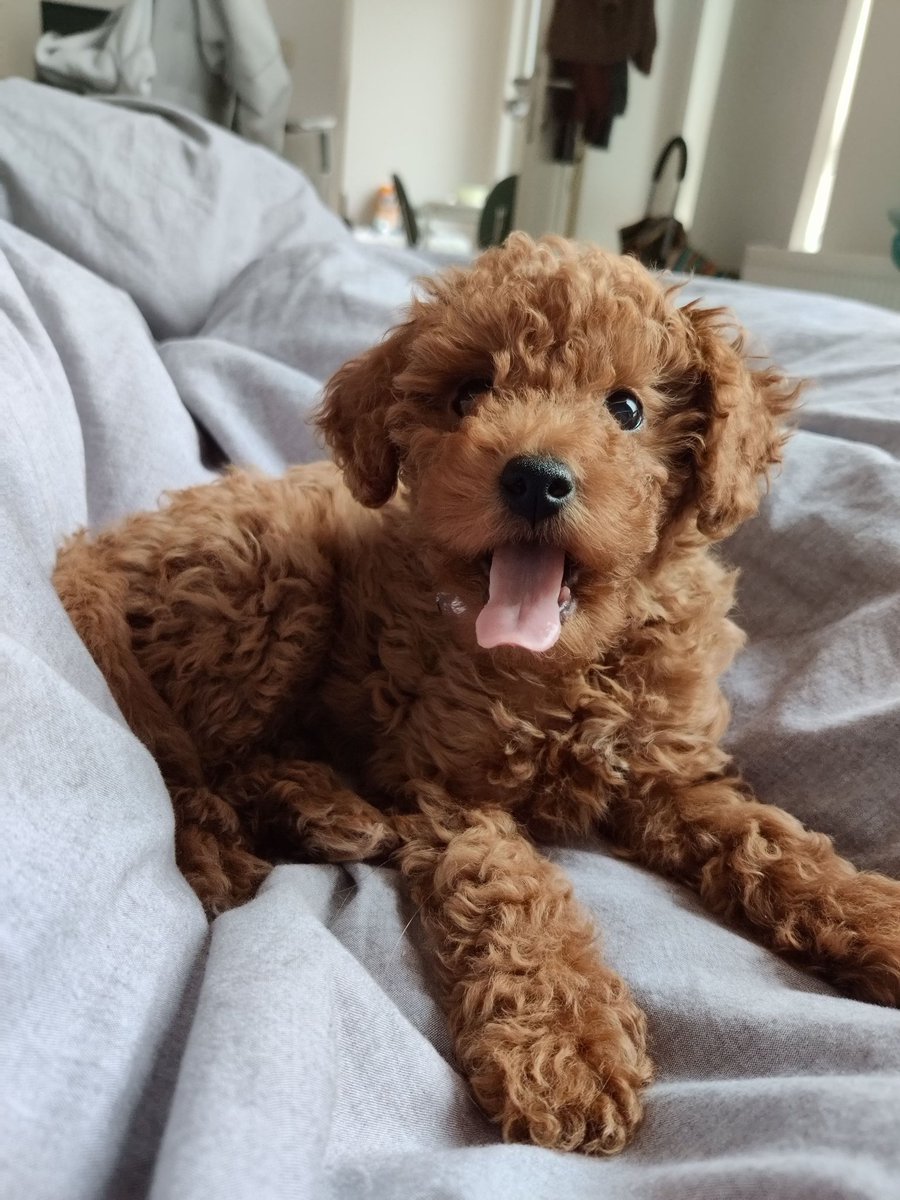 kuthleen tweet media