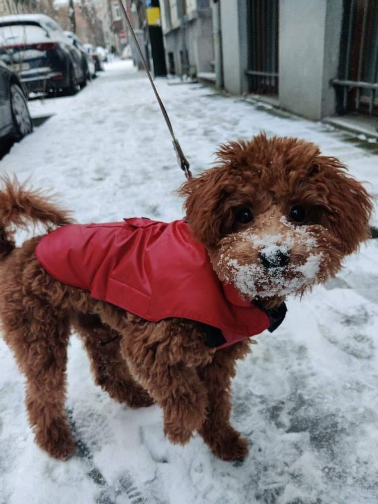 kuthleen tweet media