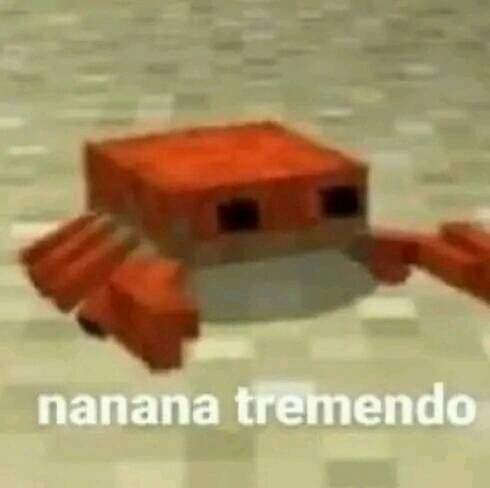 Catnuan77's tweet photo. @Raakkun Jajajajaja 
Si ves mapachita ahora sí aguanta 😂 https://t.co/y5O2fBQ5HF