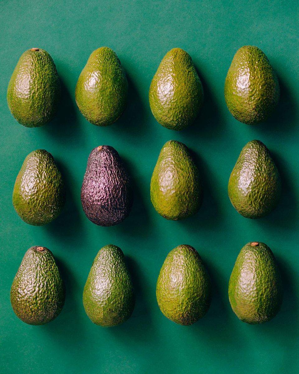 NZ Avocado 🥑 (@nz_avocado) on Twitter photo A once in a lifetime opportunity is available to attend the World Avocado Congress, 2-5 April, 2023 <a href="/WACNZ2023/">World Avocado Congress 2023</a> The MG Trust is looking to fund up to 2 registrations & some expense to attend the Congress. To find out more details and to apply, click below: mggroup.co.nz/mgtrust/world-… A once in a lifetime opportunity is available to attend the World Avocado Congress, 2-5 April, 2023 <a href="/WACNZ2023/">World Avocado Congress 2023</a> The MG Trust is looking to fund up to 2 registrations & some expense to attend the Congress. To find out more details and to apply, click below: mggroup.co.nz/mgtrust/world-…