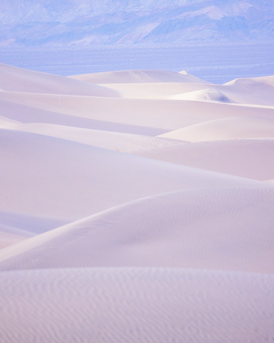 Cody Mayer tweet media