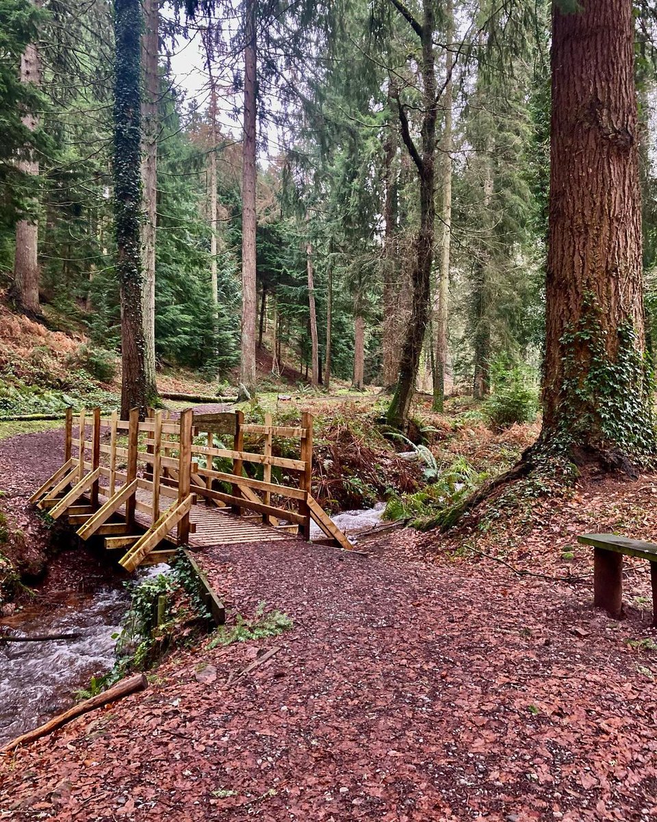 DunsterOrgUk's tweet photo. Beautiful shot from @howseofbooks at the tall trees trail at Nutcombe bottom just outside Dunster where the tallest tree in England is...
#talltrees #talltree #talltreestrail #dunster #dunstervillage #dunsterofficial #nutcombebottom #tree #trees #treephotography #nature https://t.co/I2Sxv2EX98