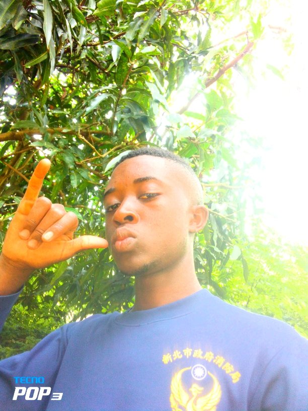 Do not let your downfall be your failure but let it be the beginning of countless success#peaceandlove❤️🙏