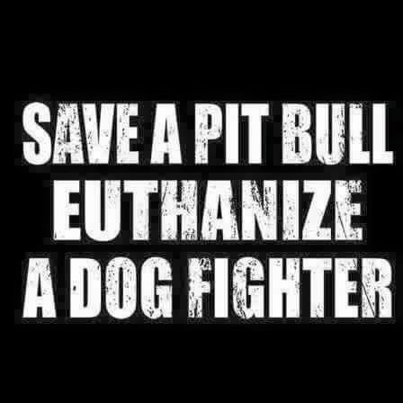 pitbullsad's tweet photo. Enough said https://t.co/Cumfeq3pMw