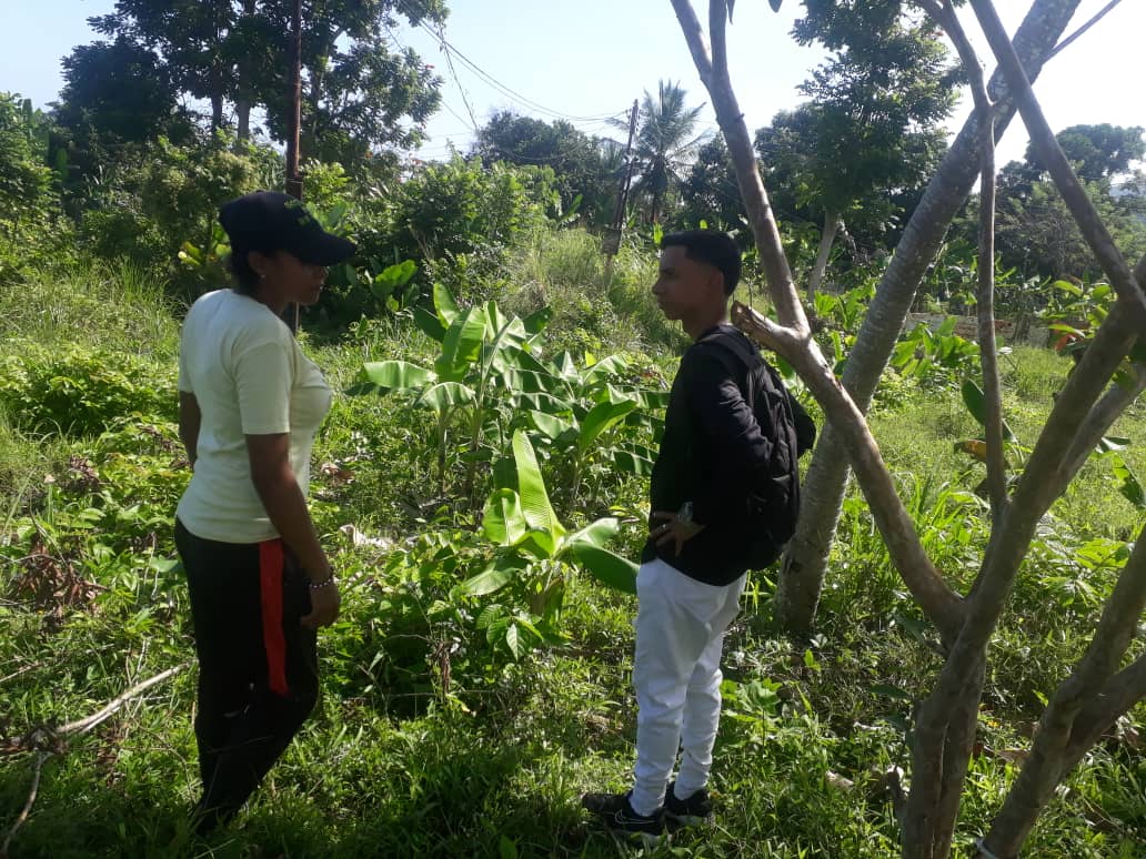 jdb_carabobo1's tweet photo. #17ene Desde la Paraguita, visitamos a los  pequeños productores y productoras agricolas 🌾⛏️🚜👩‍🌾 y de cria de Porcinos 🐖🐷 de este Sector. Pero además asumimos la responsabilidad de activar un Nodulo para la formación y capacitación de nuestro Jóvenes @jaarreaza @eugeniolugo21 https://t.co/yn2wpG5ogi