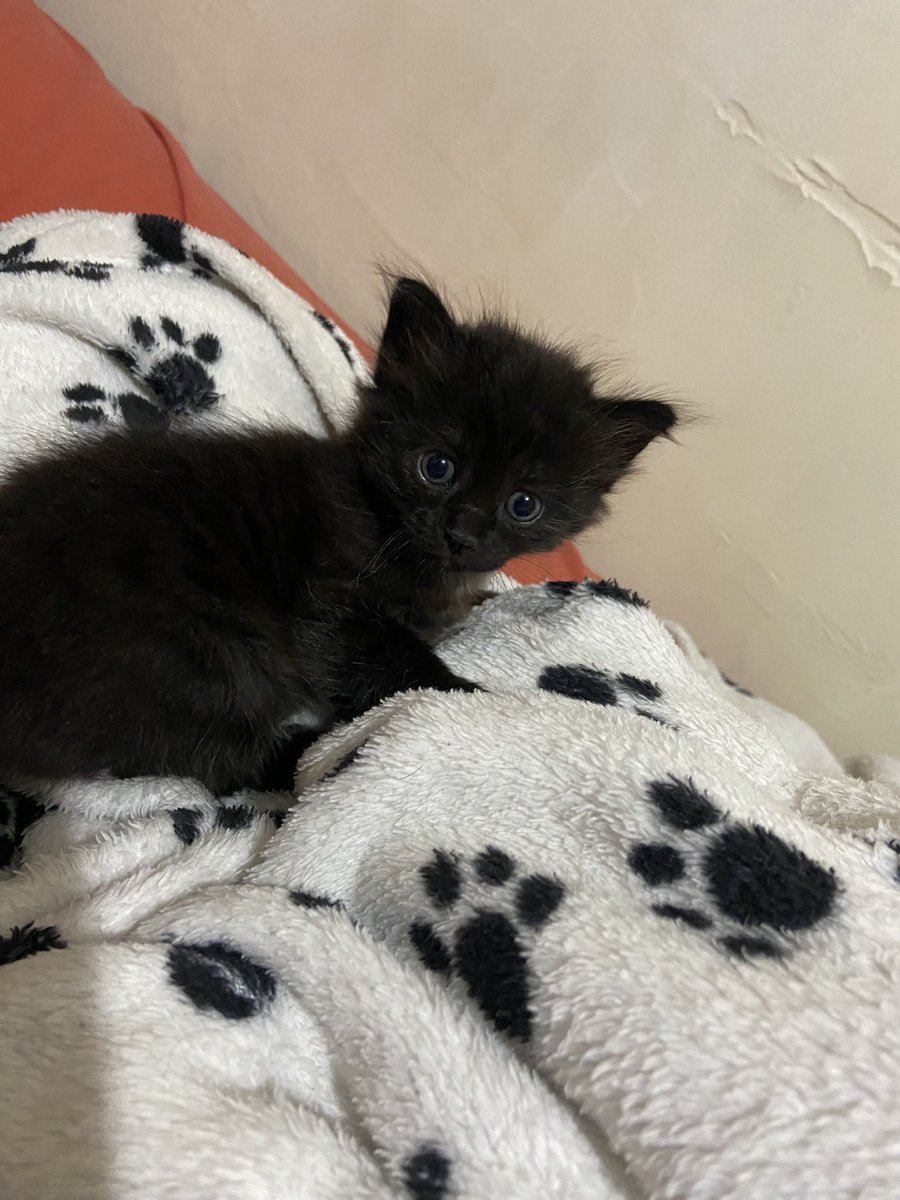 ♛Javier_M²♔™ tweet media