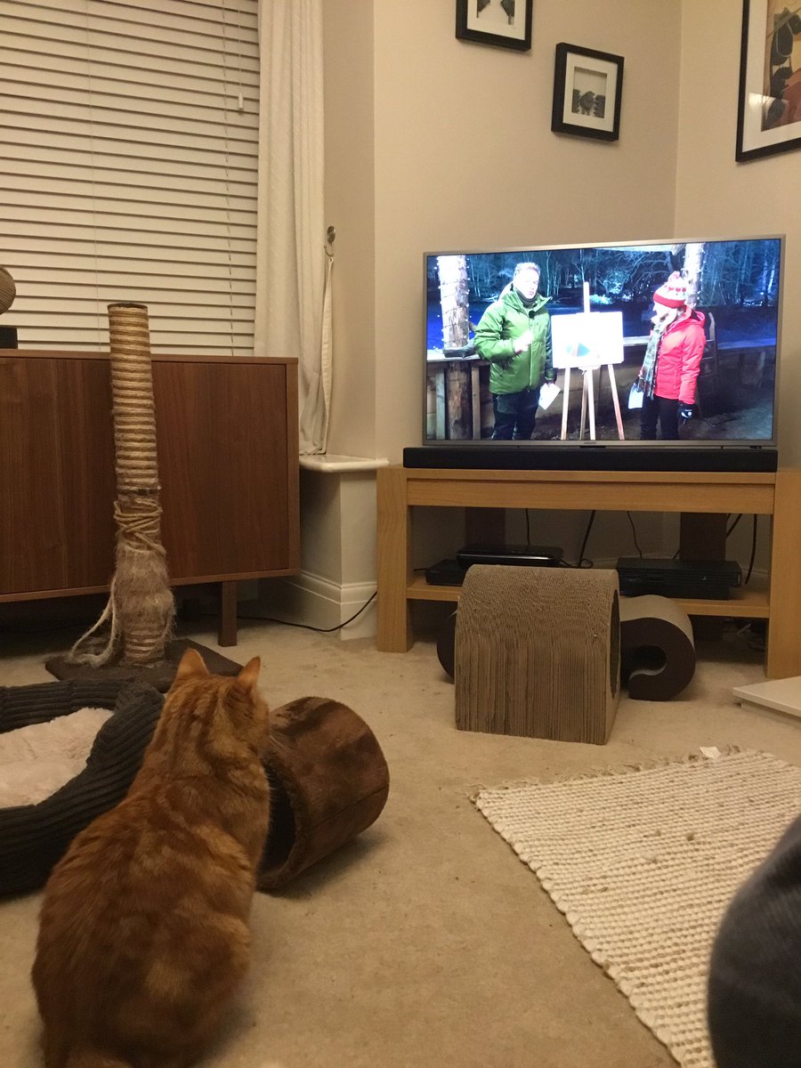 Enjoying #Winterwatch. He seems slightly more excited by the graph than by the fox…