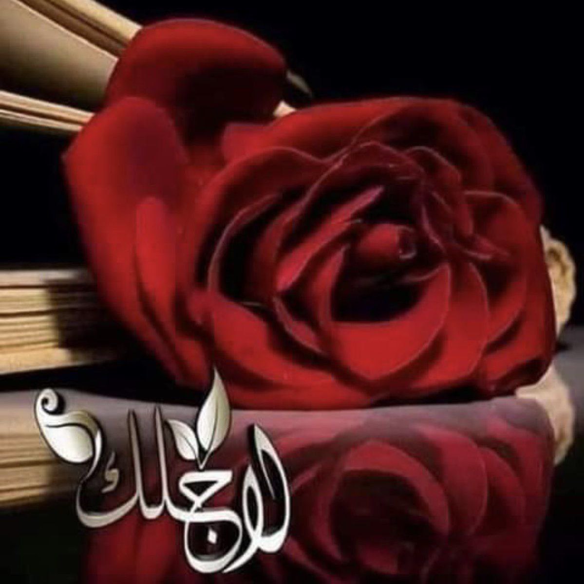 اجمل احساس 🇸🇦 tweet media