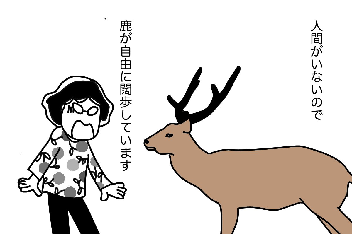 #せいかつの花 09 