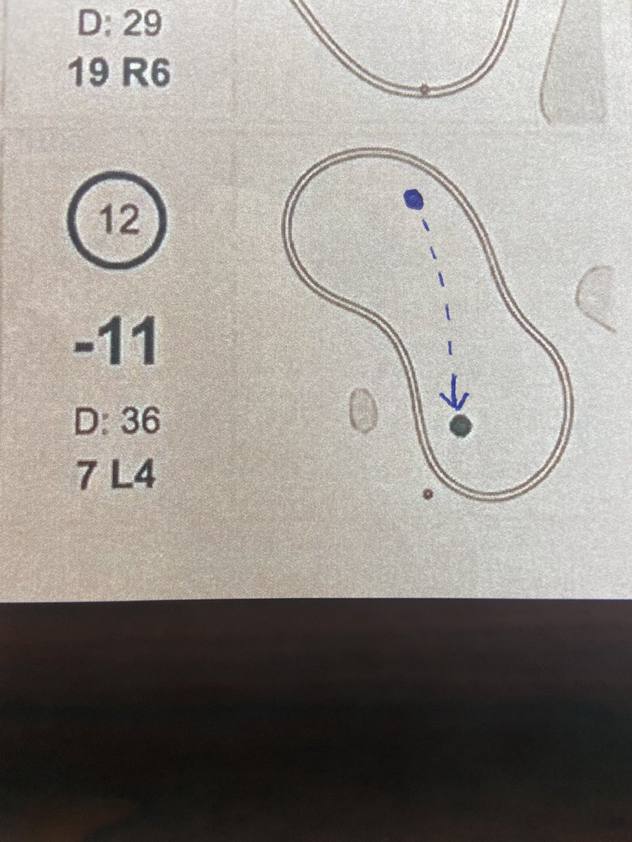 Misjudged the approach by a tad… The stolen birdie was nice. Then the lost-ball-6 the next day evened it out. Karma? Jokes on them. I’d take a 4.5 average on 12 any time 😂