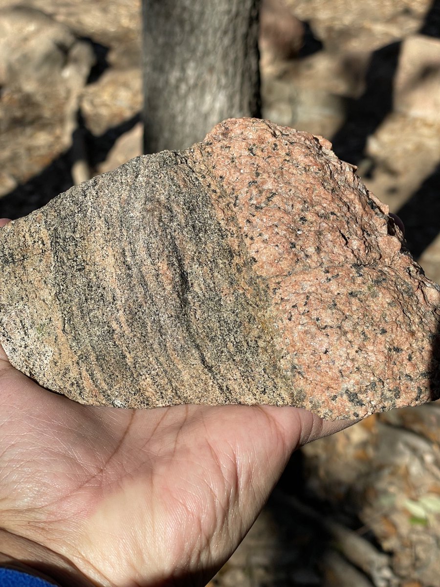 rdasgupta_earth's tweet photo. An igneous (granite: right) and a metamorphic (gneiss: left) rock in contact since the MesoProterozoic (~1.1 billion years ago). Llano uplift, central Texas. #geology #petrology https://t.co/g8aSu69JEO