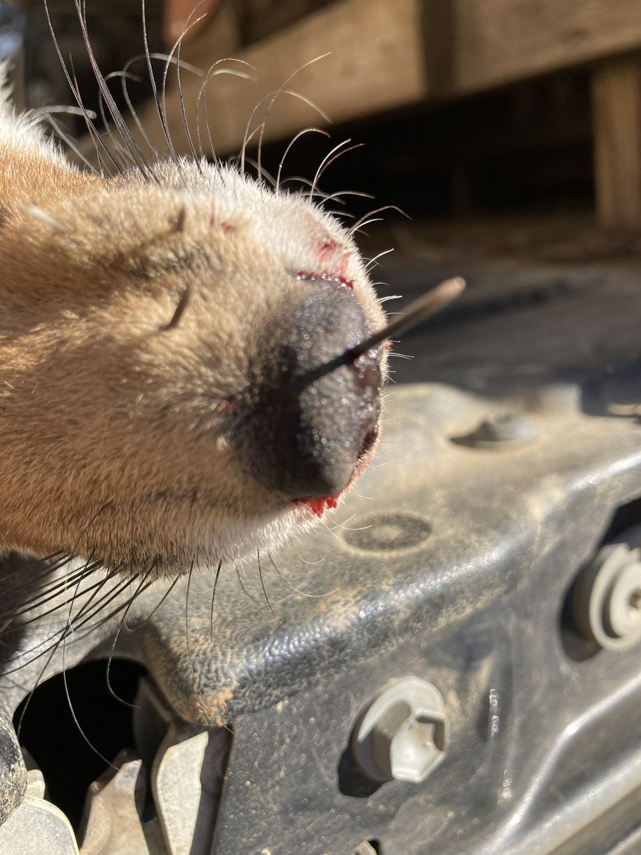 Nick Bakner tweet media