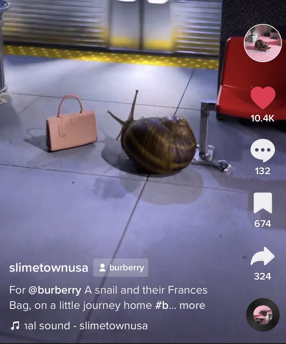 politicalscandy's tweet photo. this snail I follow on tik tok got a burberry sponsorship https://t.co/9dXXqbsnEl