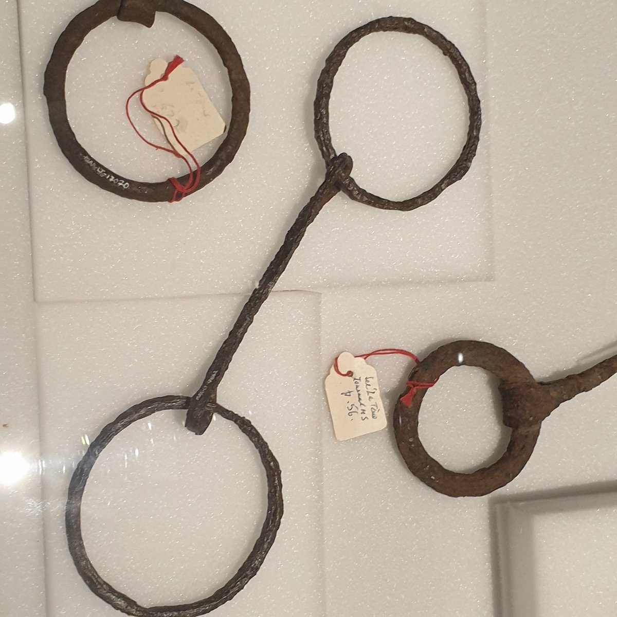 romandieantique's tweet photo. #Neuchâtel / #Latenium (exposition Entre deux eaux. La Tène, lieu de mémoire):
Éléments en fer d'harnais de chevaux et de chars https://t.co/khWtGqU3Sh