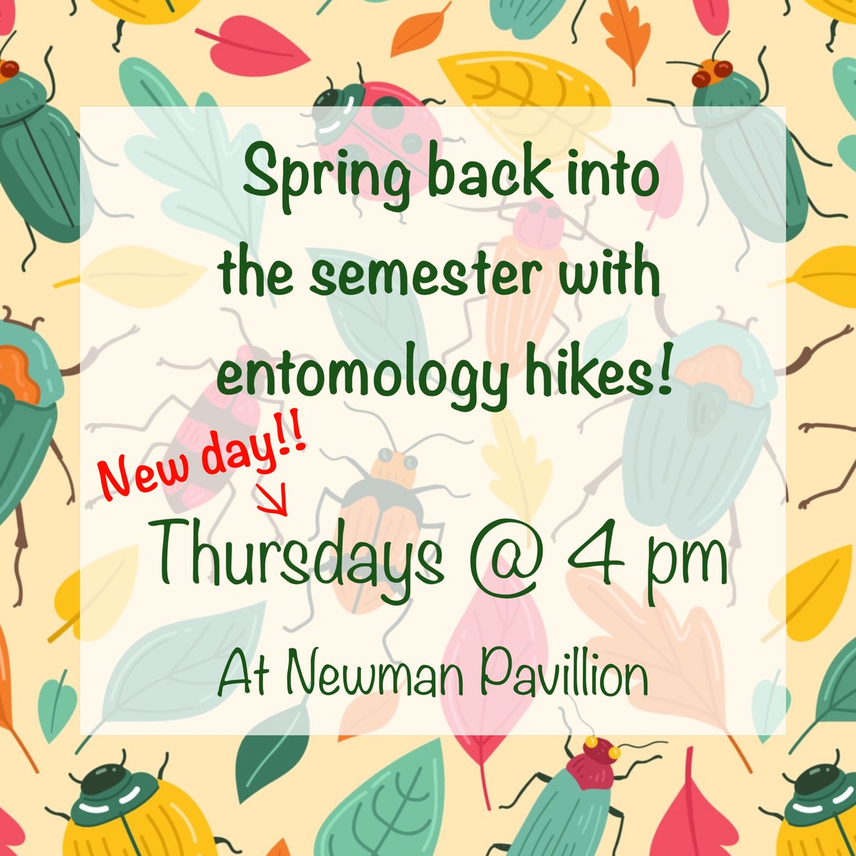 entoscf's tweet photo. Mark your calendars because bug hikes are BACK this Thursday! Same location, new day!🏃‍♂️🪲🦋🐛🐞🕸 https://t.co/2KulCroUMi