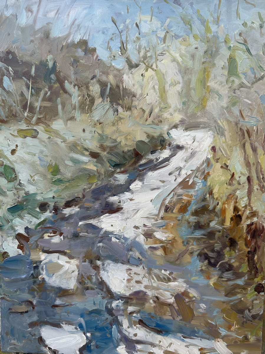 Remnants of snow on a country path 40x30cm
#winterlight #impressionism #enpleinair #paintingfromlife #oils #landscape