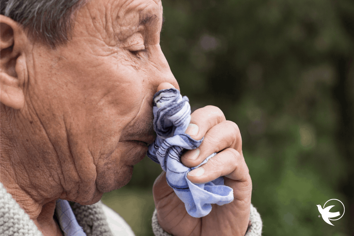 VisAngelsCT's tweet photo. The U.S. is in the middle of an especially rough #flu season, and #seniors are at a higher risk than other populations. Here’s everything you need to know about flu and older adults. https://t.co/GqqxnqkyZD https://t.co/qSTGzh58VK