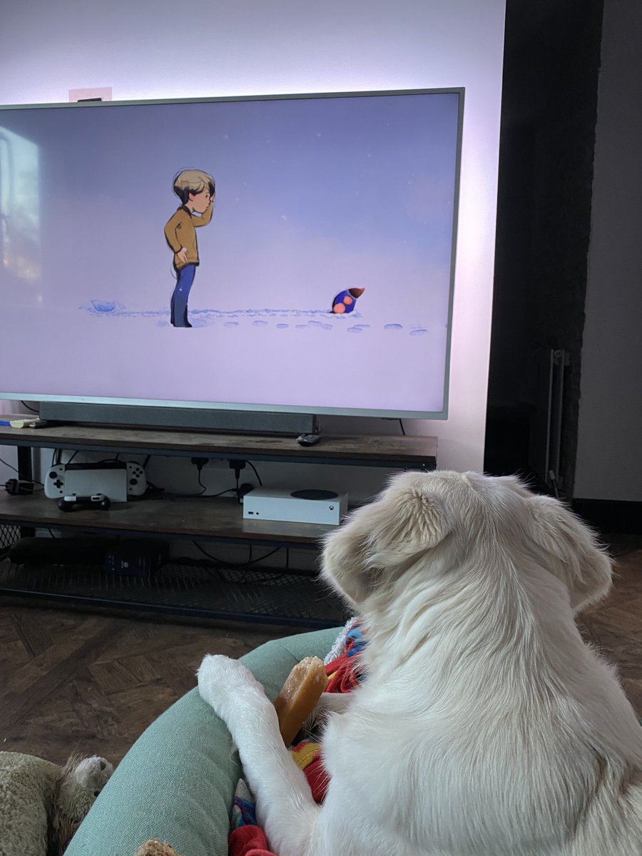 missstrawbs's tweet photo. Our puppy instantly looked up from his chew at #theboythemolethefoxandthehorse ❤️🐾 the book has a special place in my heart &amp; this adaptation is beautiful. Thank you @charliemackesy for sharing this with us ❤️ #goldenretriever #dogsoftwitter #goldenpuppy #happyheart @bbcstudios https://t.co/eiYAnVHfWY
