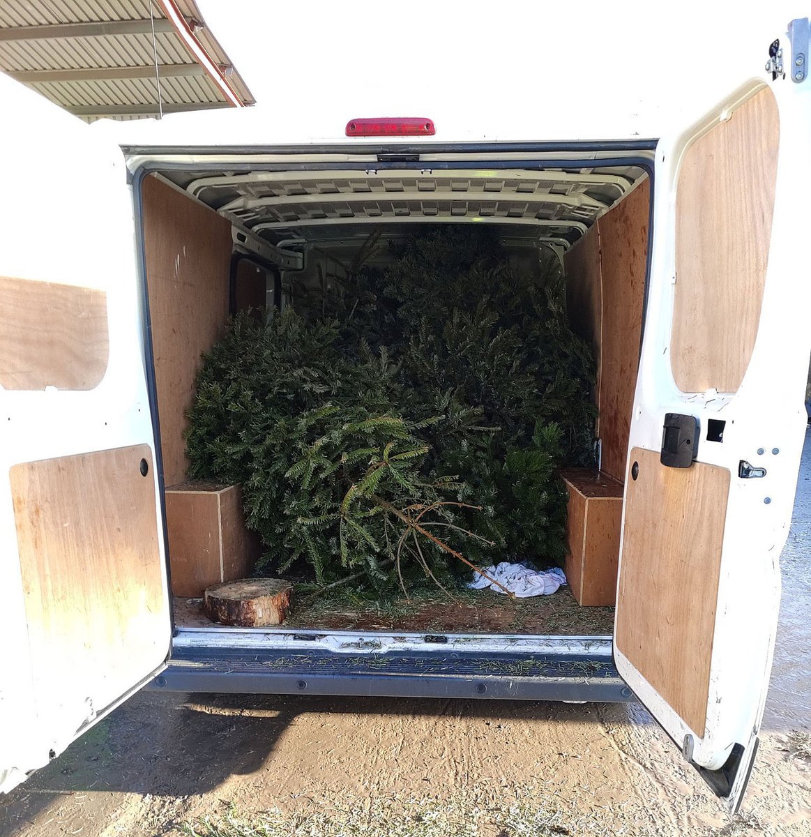 @RotaryPrestatyn collecting used Christmas Trees to support @StKentigern. Useful fact: you can get 16 trees in a van, perhaps more.