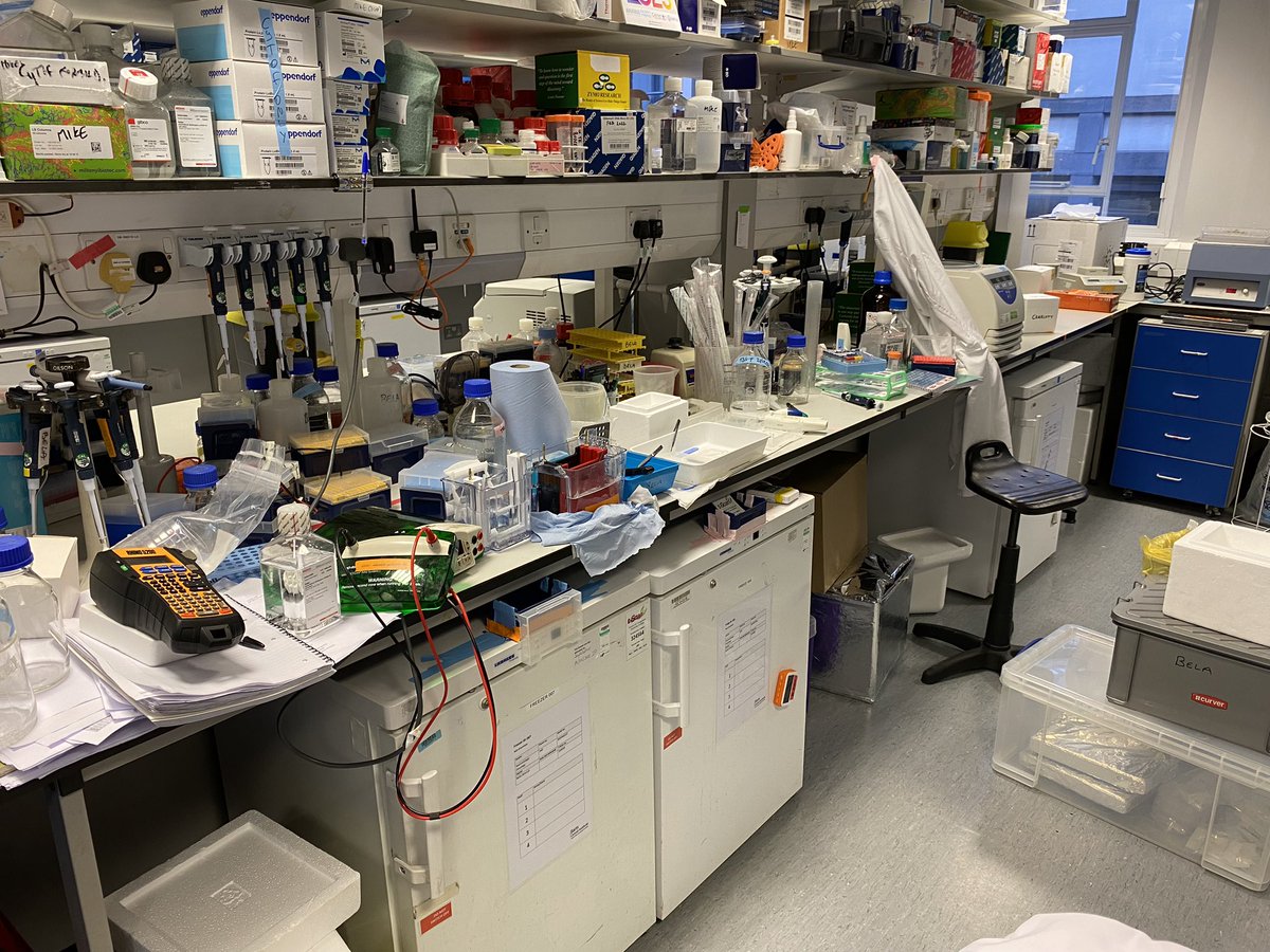 Always pays to keep the bench tidy