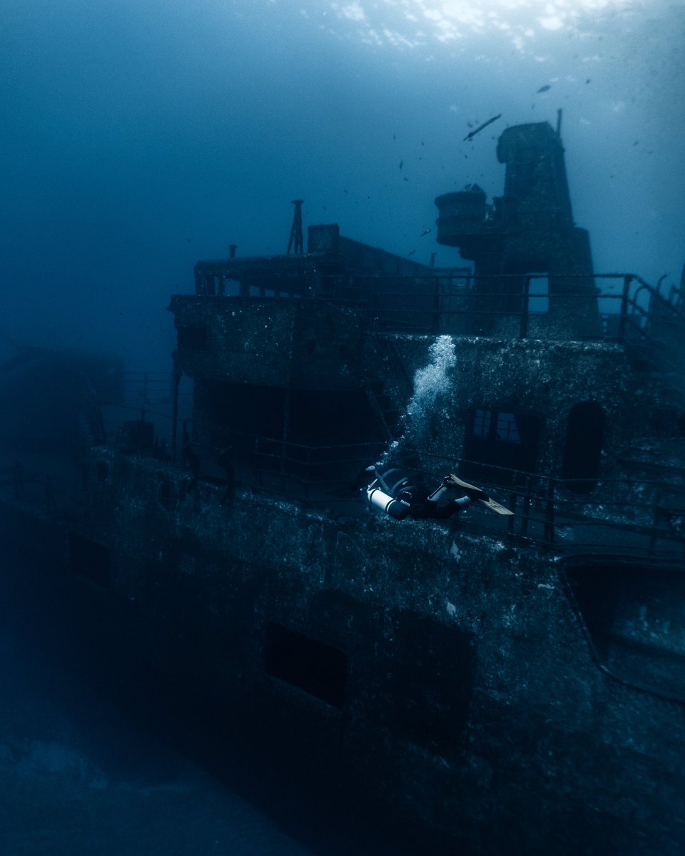 Nadine Bauer tweet media