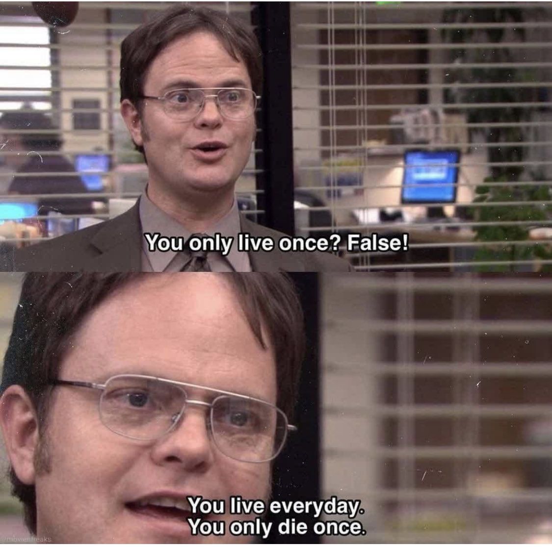zamielnegro_'s tweet photo. Lo mejor de The Office es el mismísimo Dwight Schrute. https://t.co/Mj6vBV3Zba