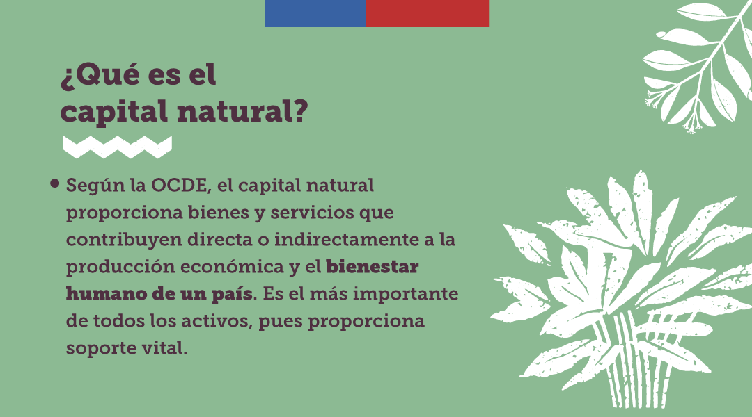 MMAChile's tweet photo. Chile es el primer país en Latinoamérica en crear un Comité de Capital Natural🌱

Hoy, la ministra @Maisa_Rojas y el ministro de @Min_Hacienda, @mariomarcelc, acompañaron al Presidente @GabrielBoric en la firma del documento para su creación.

¿Sabes en cuál será su función? 👇 https://t.co/xJ0uRWY73Z