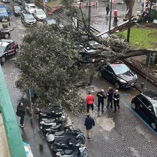 ReteMeteoAmator's tweet photo. 🌬 #Maltempo a #Napoli: a causa del forte #vento un albero è crollato sulle auto in sosta in Piazza Cavour, un ferito🤬
📷foto by Glo Iod via Nowcasting Meteo Campania.
Rete Meteo Amatori Passione & Professionalità
#meteo #weather #instameteo #instaweather #instalike #… https://t.co/SehrJsqmUP