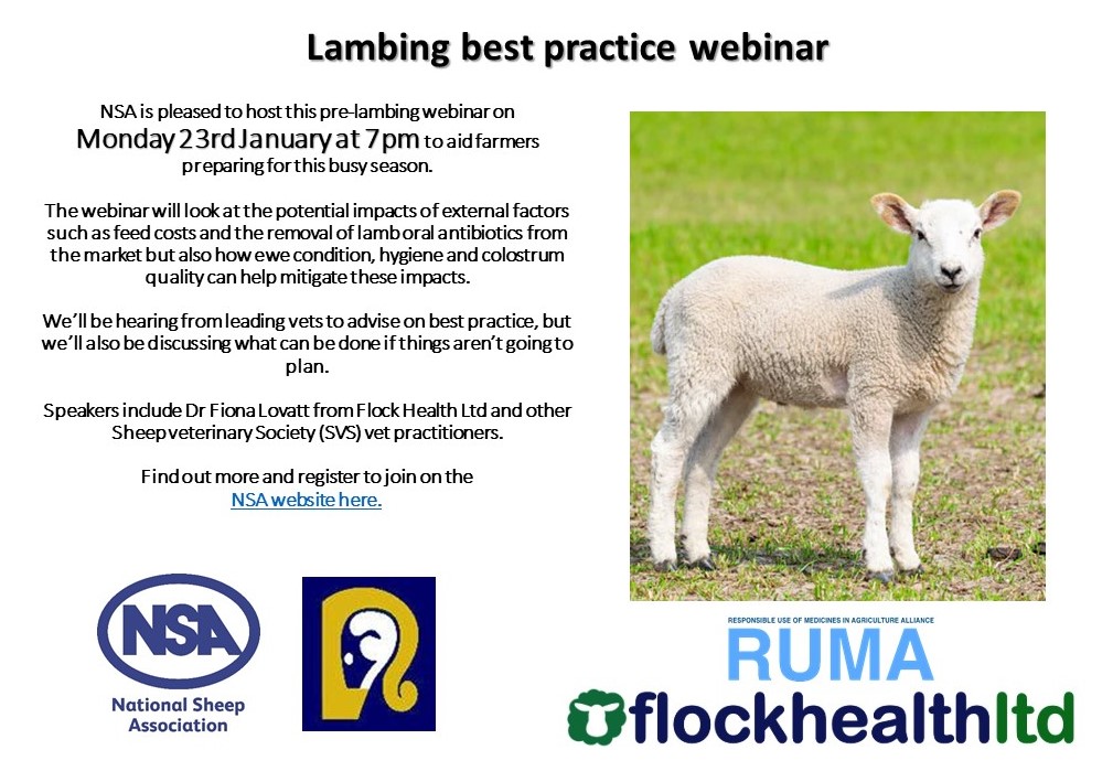 Sheep Veterinary Soc tweet media