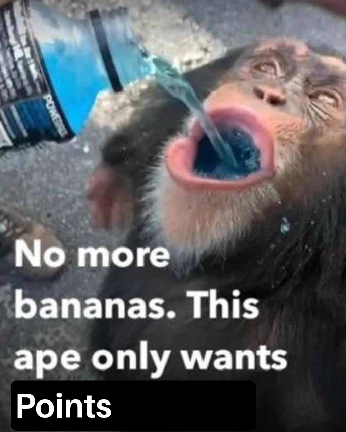 3rd game of UKIN vs <a href="/LucendiGaming/">Lucendi</a>
It's time to start getting some points! 
Time: 2130 cet 
Stream: twitch.tv/Rainbowsix_npl