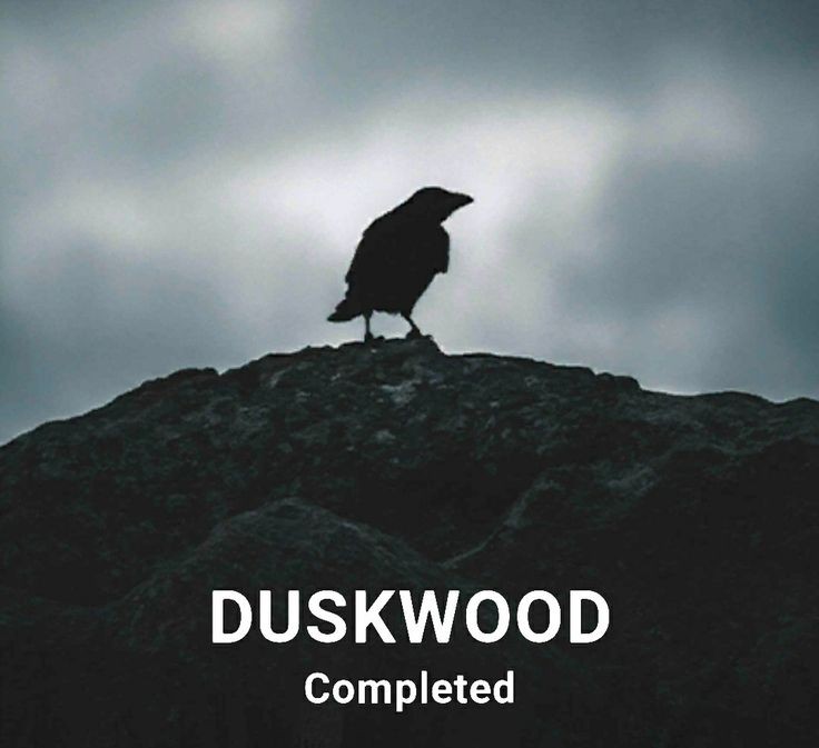 lanwjpretty's tweet photo. DUSKWOOD esquete — Você só pode escolher 1 (um) desses personagem para aparecer no novo jogo, a thread: https://t.co/74hQxJXNGq