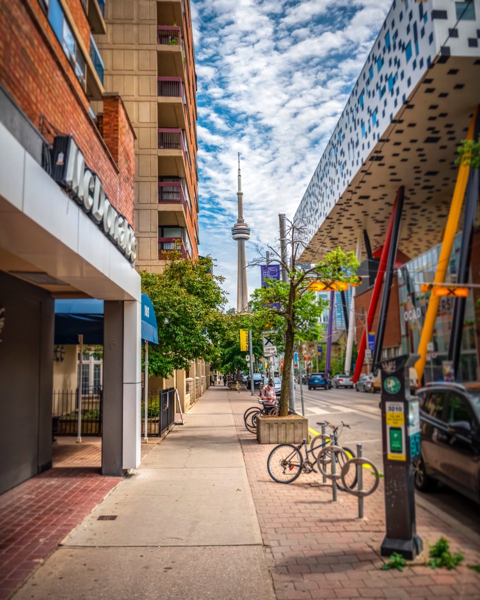 Wandering in Toronto 🇨🇦 
.
.
.
#streetview #streetviews #streetphotography #streetphotographercommunity #photography #landscapephotograhy #cityphoto #cityphotography #cityarchitecture #cityarchitecturephotography #buildingphotography #architecturedesign #visualart