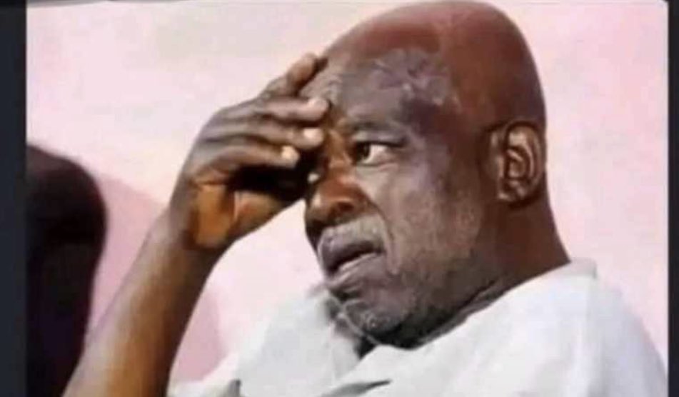 shayeejhay's tweet image. Which one be buy your sweet bitter leaf again? 👀