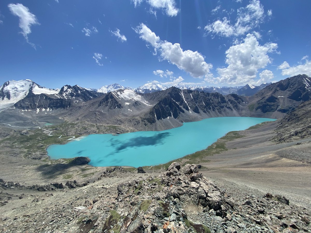 Diana Kruzman tweet media