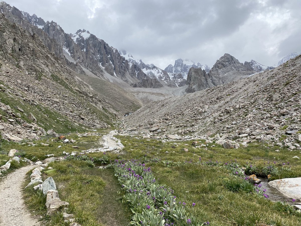 Diana Kruzman tweet media