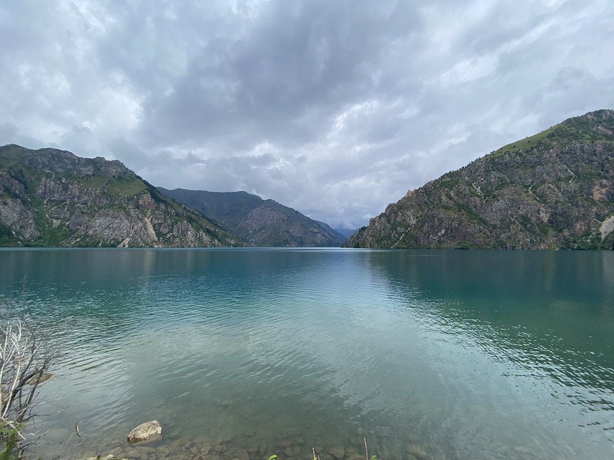 Diana Kruzman tweet media