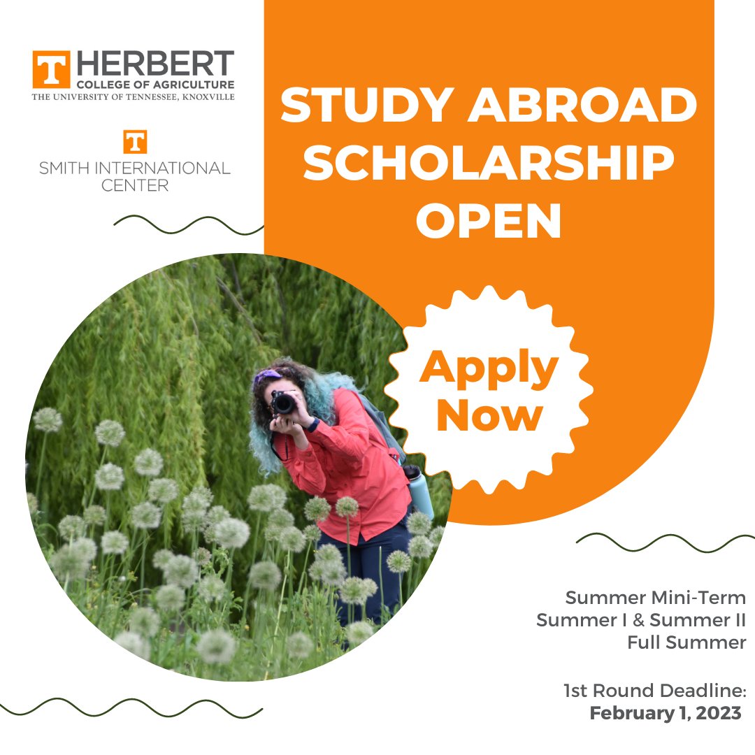 utsmithcenter's tweet photo. Planning to study abroad this summer? Don't miss your chance to apply for the scholarship we offer in collaboration with @UT_Herbert! The deadline to apply is February 1st. Learn more and apply here: https://t.co/qwOI1uiYX5

@UTIAg @UTKGlobal #GrowGlobal #VolsAbroad https://t.co/MzGcfbzyH2
