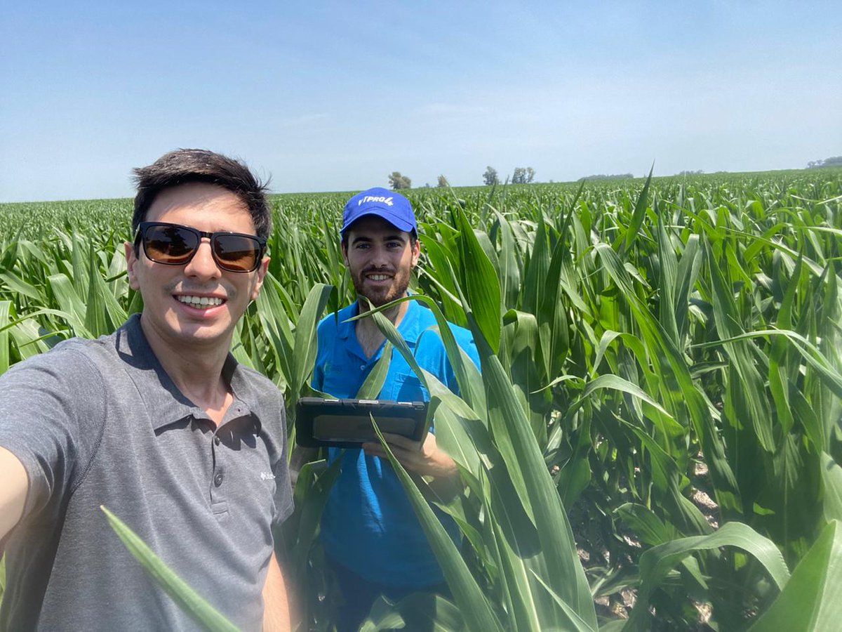 leandroromeo12's tweet photo. 🌽Recorrida de lote previo a la siembra y en V12 🌽#LideresEnRelacionamiento @Bayer4CropsAR @DekalbArgentina @matiascapellads @FieldViewArg 
Lote aplicado con Adengo + Guardian https://t.co/9DGLSFUBpk