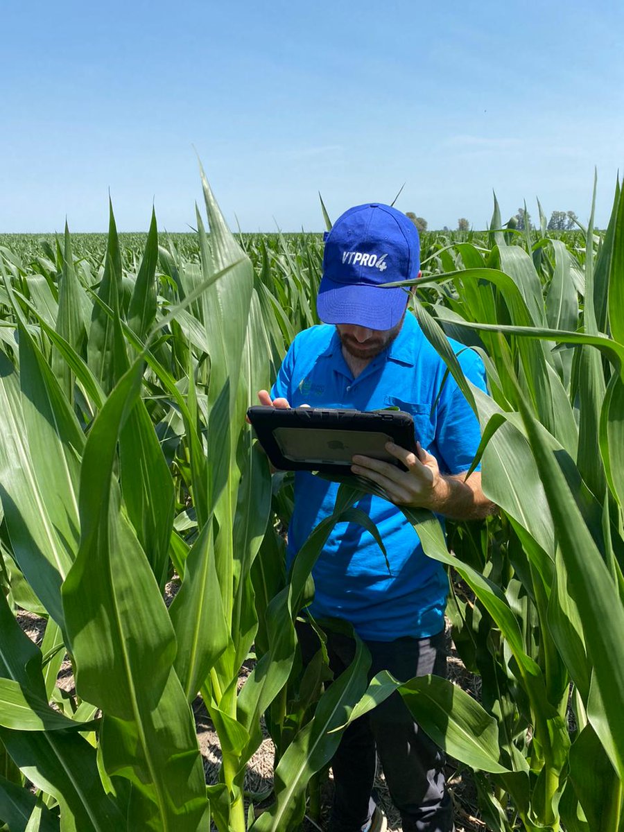 leandroromeo12's tweet photo. 🌽Recorrida de lote previo a la siembra y en V12 🌽#LideresEnRelacionamiento @Bayer4CropsAR @DekalbArgentina @matiascapellads @FieldViewArg 
Lote aplicado con Adengo + Guardian https://t.co/9DGLSFUBpk