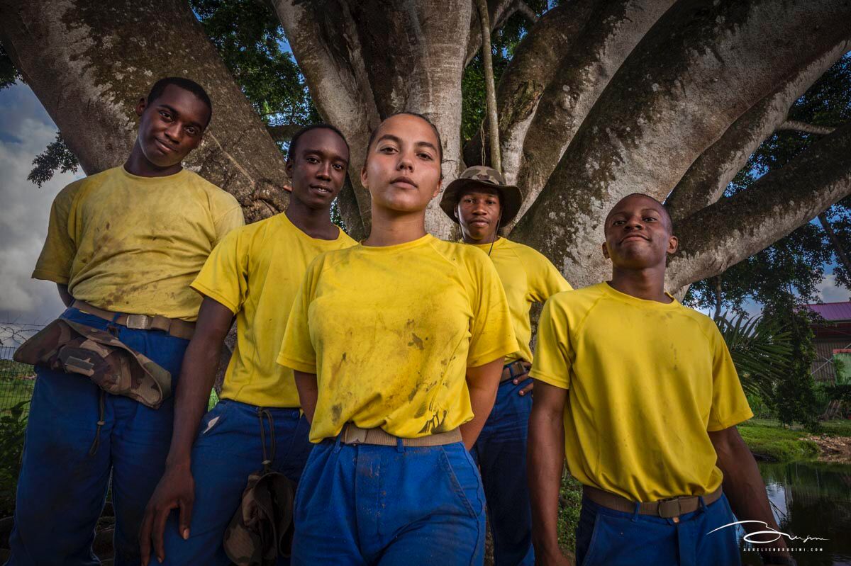 #Fierté | Le ficus du RSMA de Guadeloupe obtient le prix Coup de cœur 💚
Décerné par <a href="/L_Arbre_Vert/">L'Arbre Vert</a>, notre ficus a su charmer le jury par son histoire et sa vocation sociale.

Symbole de la ferme pédagogique sur lequel il se situe et qui forme les jeunes aux métiers de la terre.👩🏽‍🌾